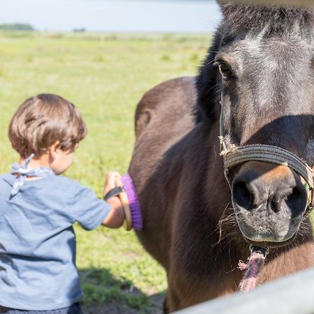 Апартаменты Friesenhof Janssen - Urlaub Auf Dem Bauernhof Нойхарлингерзиль Экстерьер фото